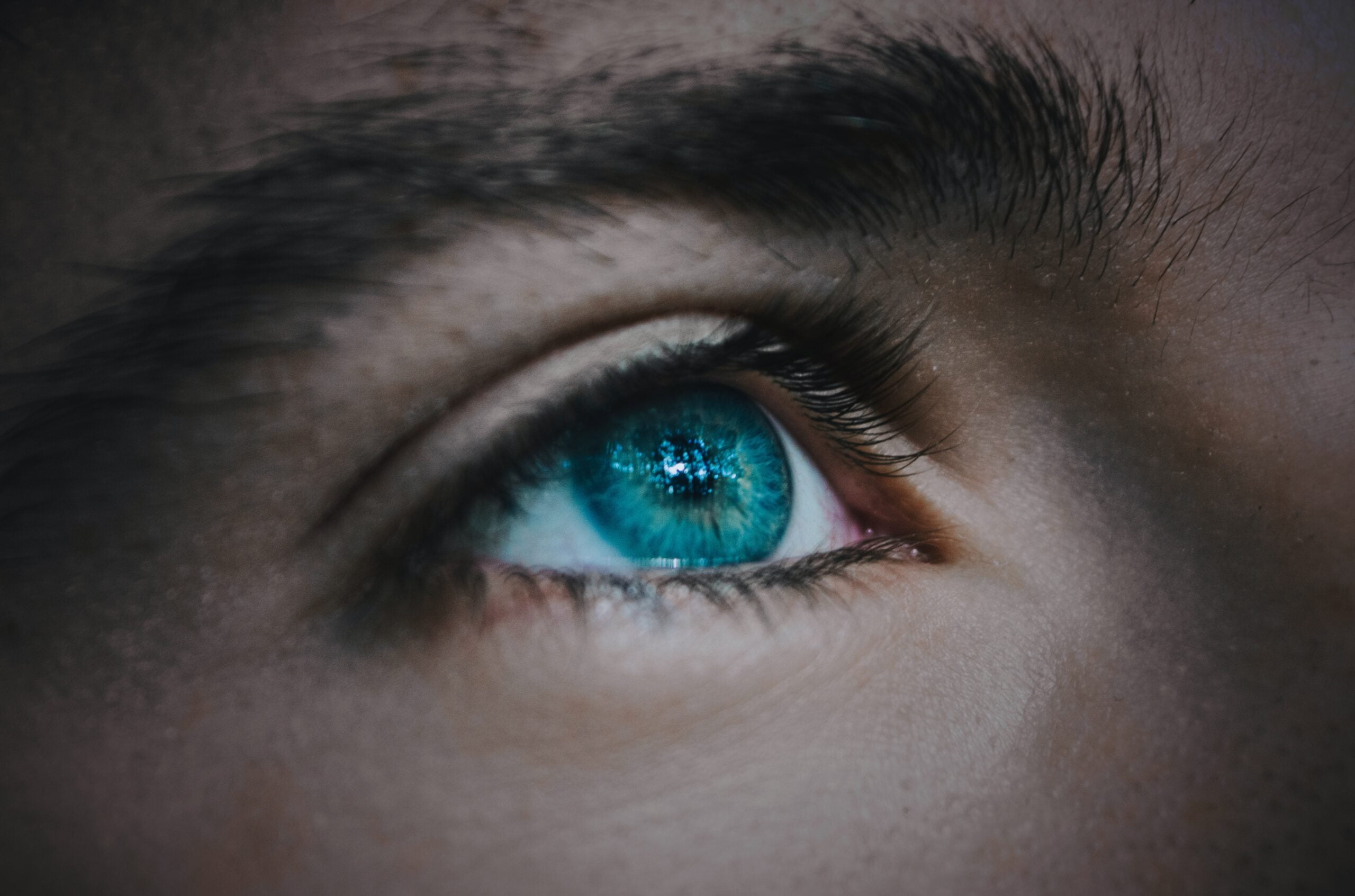 Fabrizio Verrecchia S85nw03ubly Unsplash