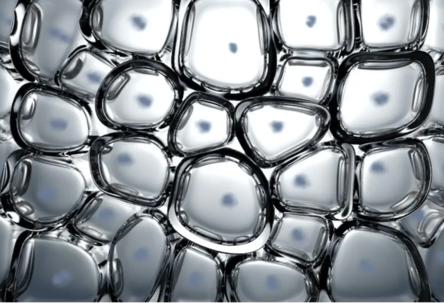 Cells